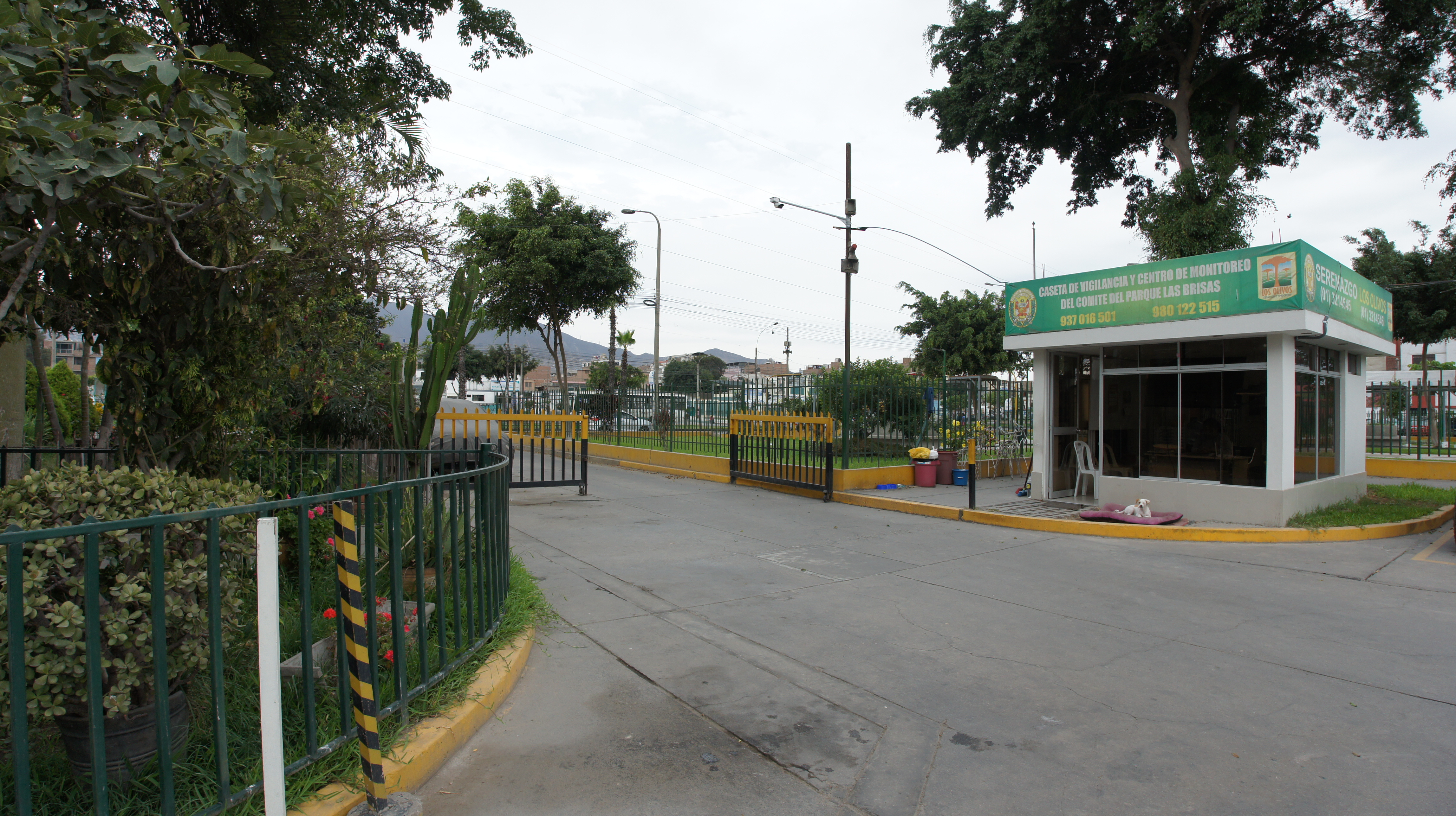 Casa en Venta en Los Olivos