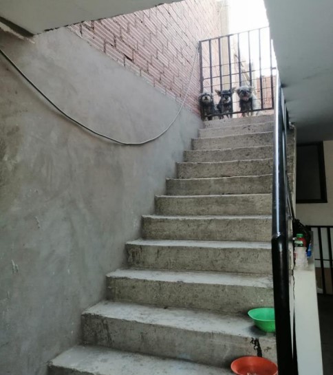 Casa en Remate en San Juan de Lurigancho